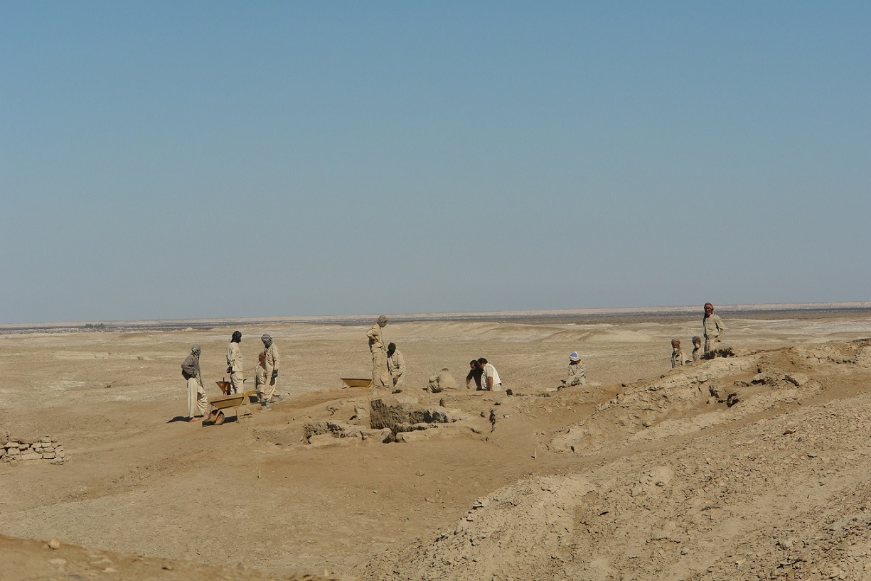 The archaeological excavations at Shahr i Sokhta in 2019